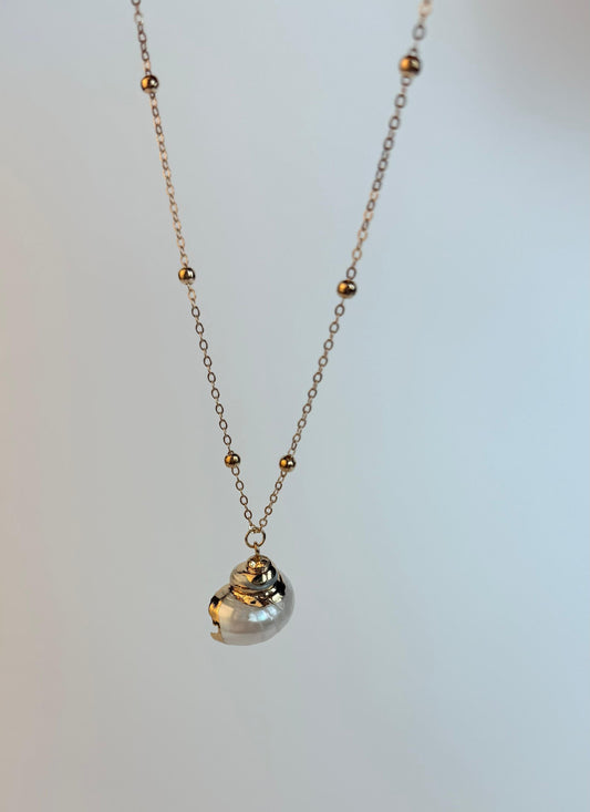 White Medium sized Natural Shell necklace