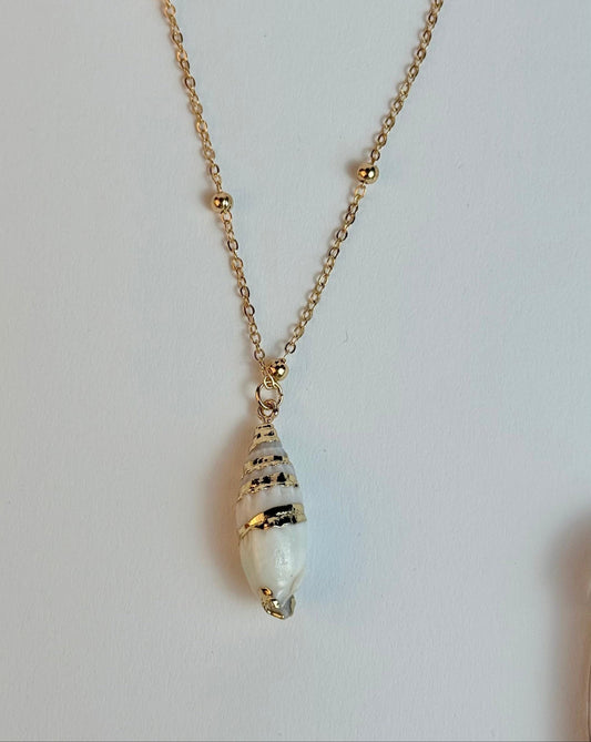 Necklace with a shell pendant on a light background