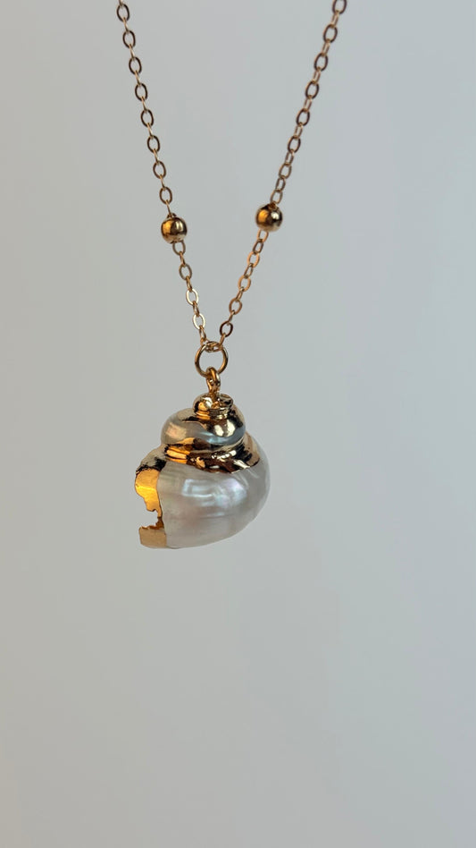 White Medium sized Natural Shell necklace