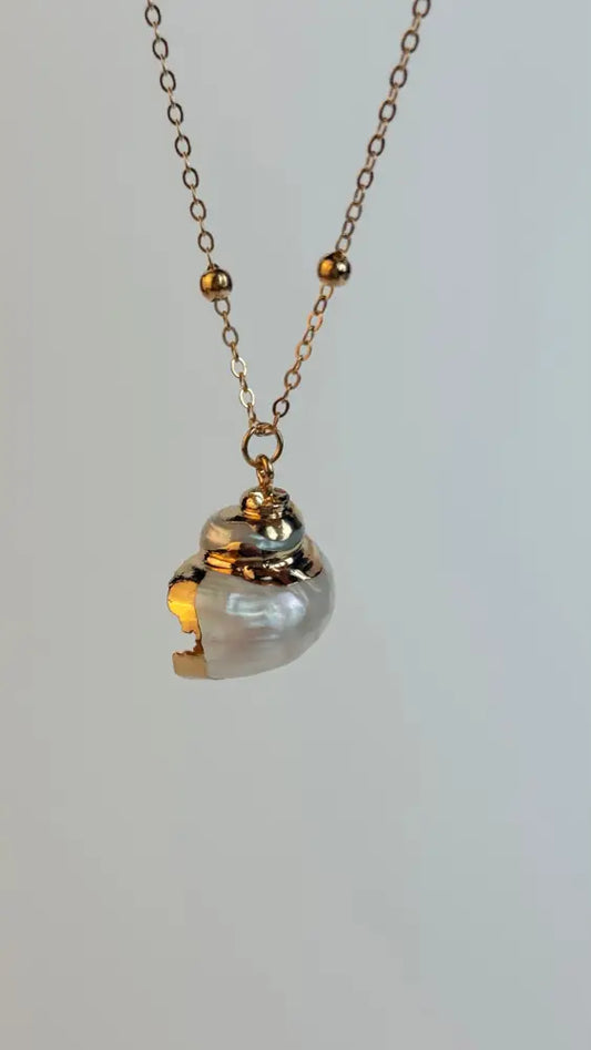 White Medium sized Natural Shell necklace