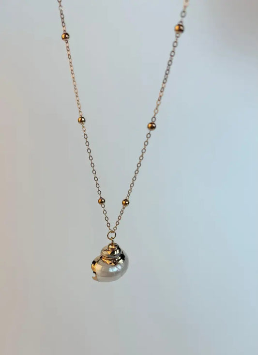White Medium sized Natural Shell necklace