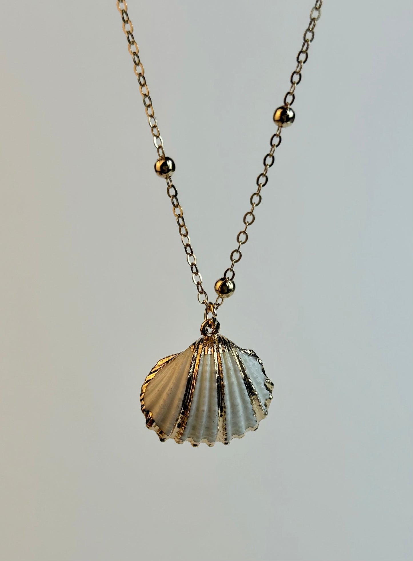 White and Gold Medium sized Natural Shell necklace
