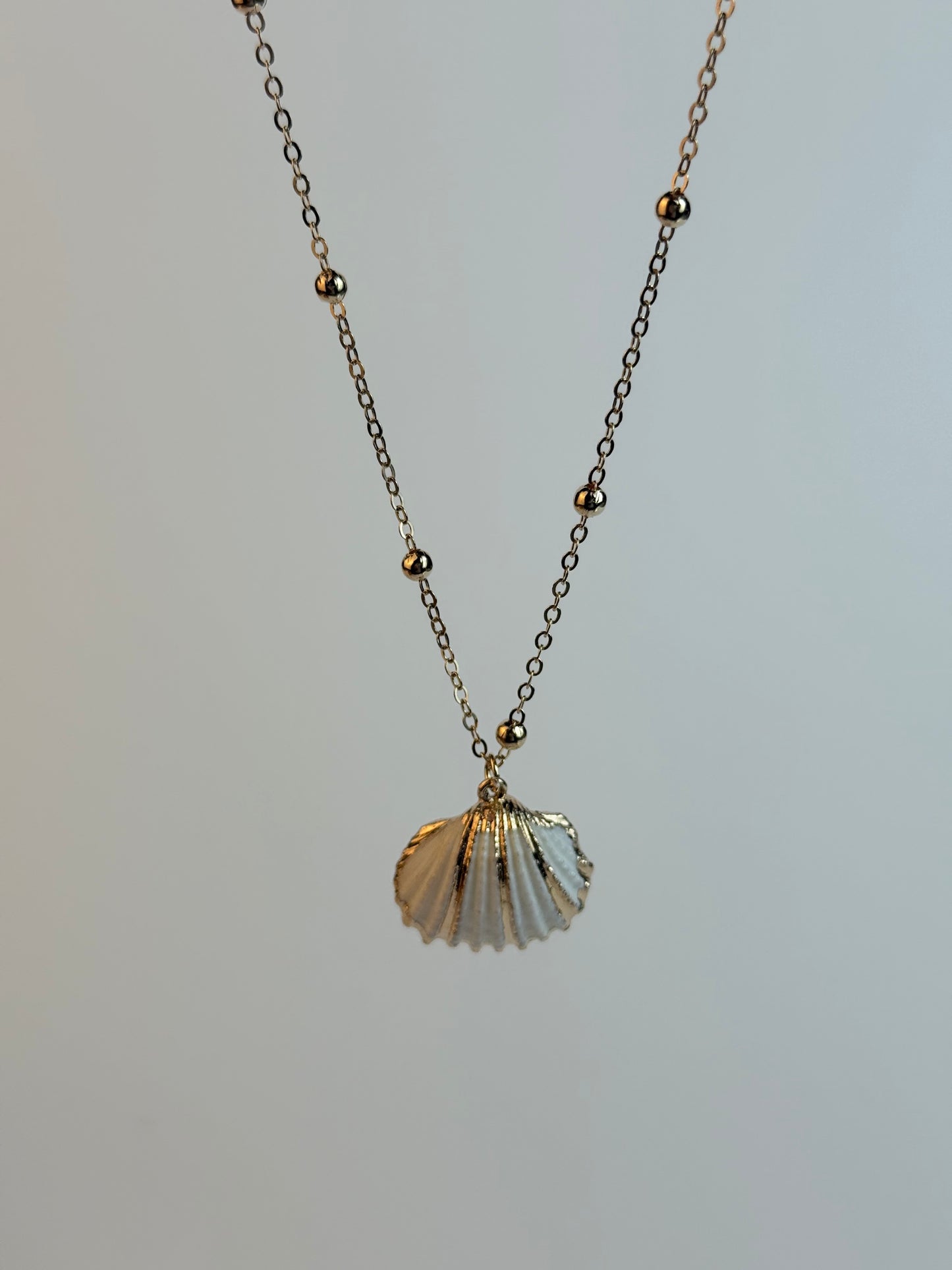 White and Gold Medium sized Natural Shell necklace