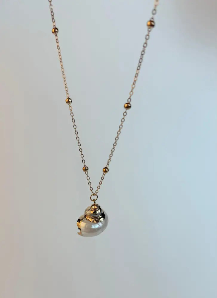 White Medium sized Natural Shell necklace